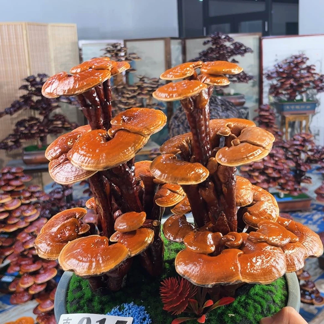 【闪购商品】888888