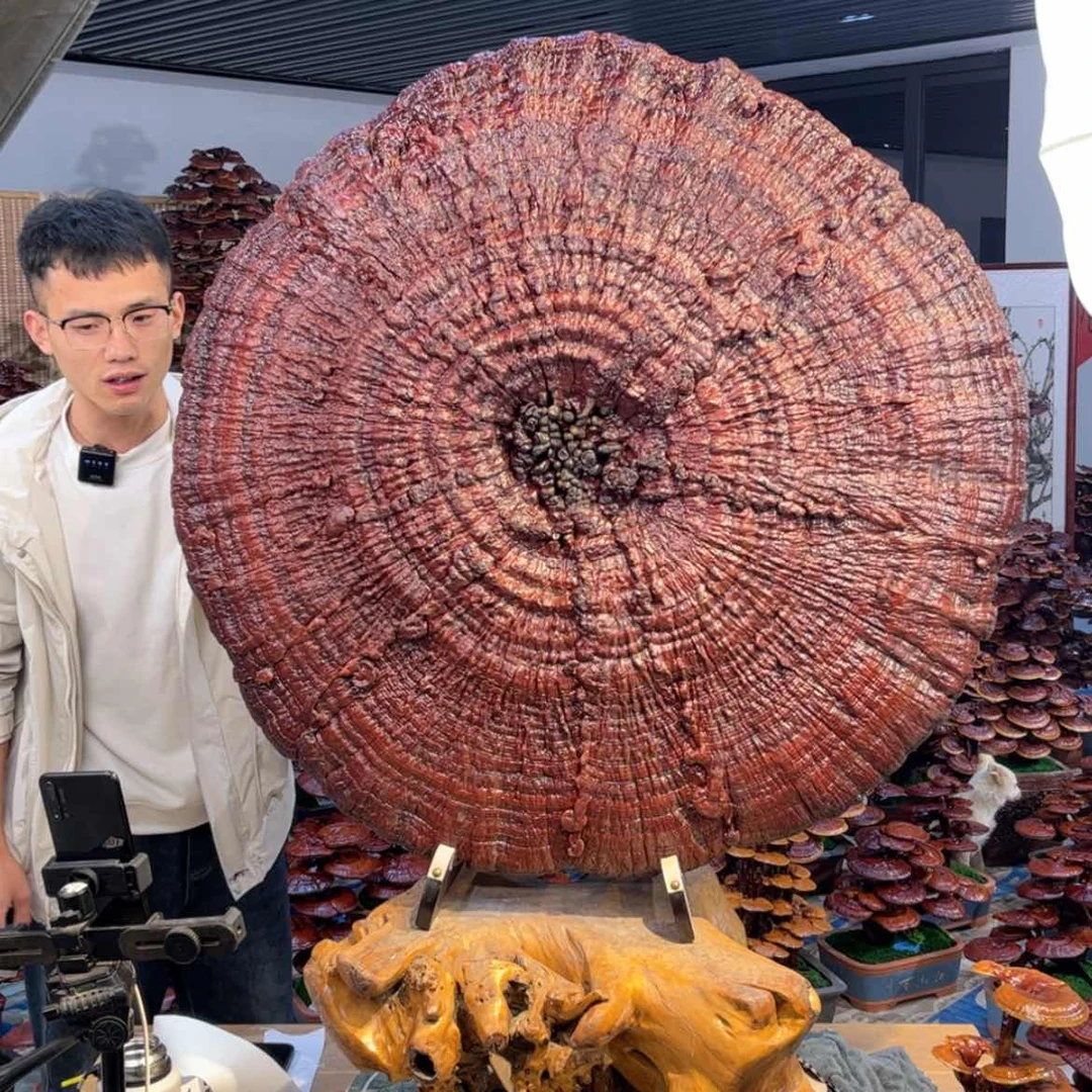 【闪购商品】888888