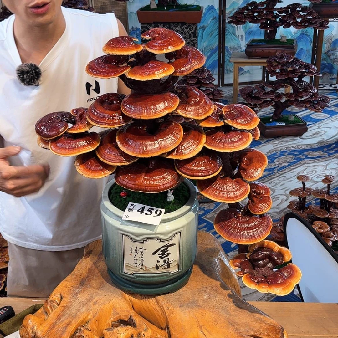 【闪购商品】88888