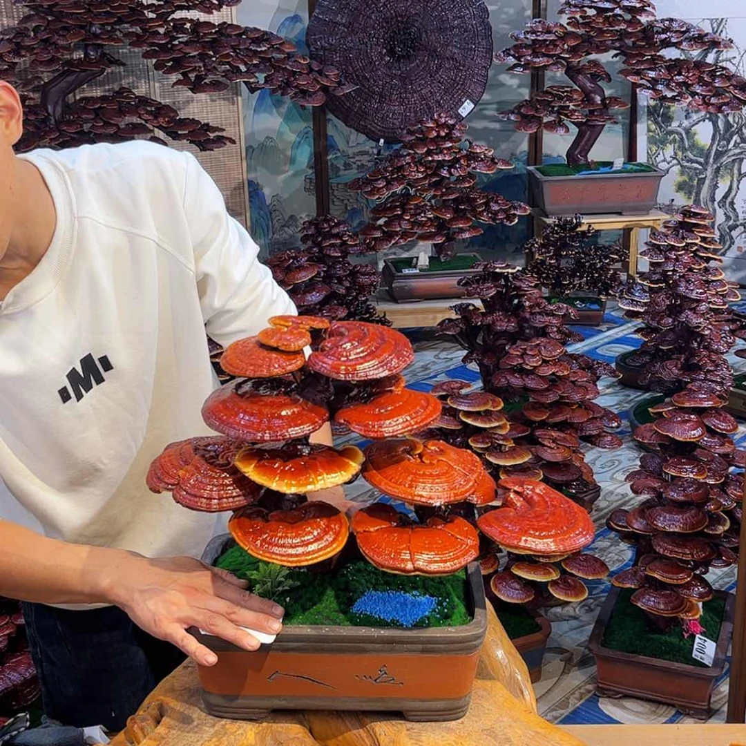 【闪购商品】88888