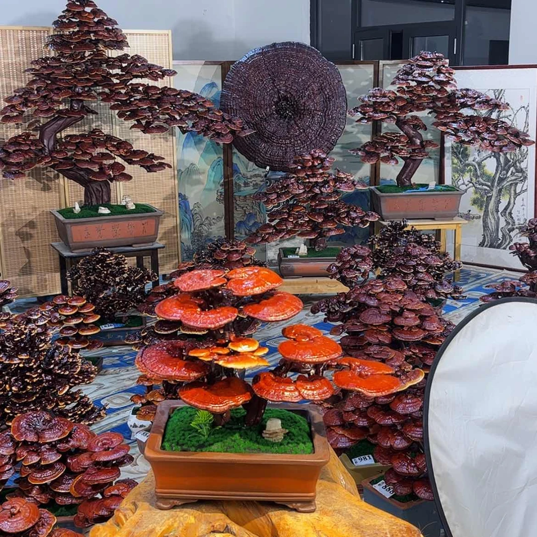 【闪购商品】开****?880000