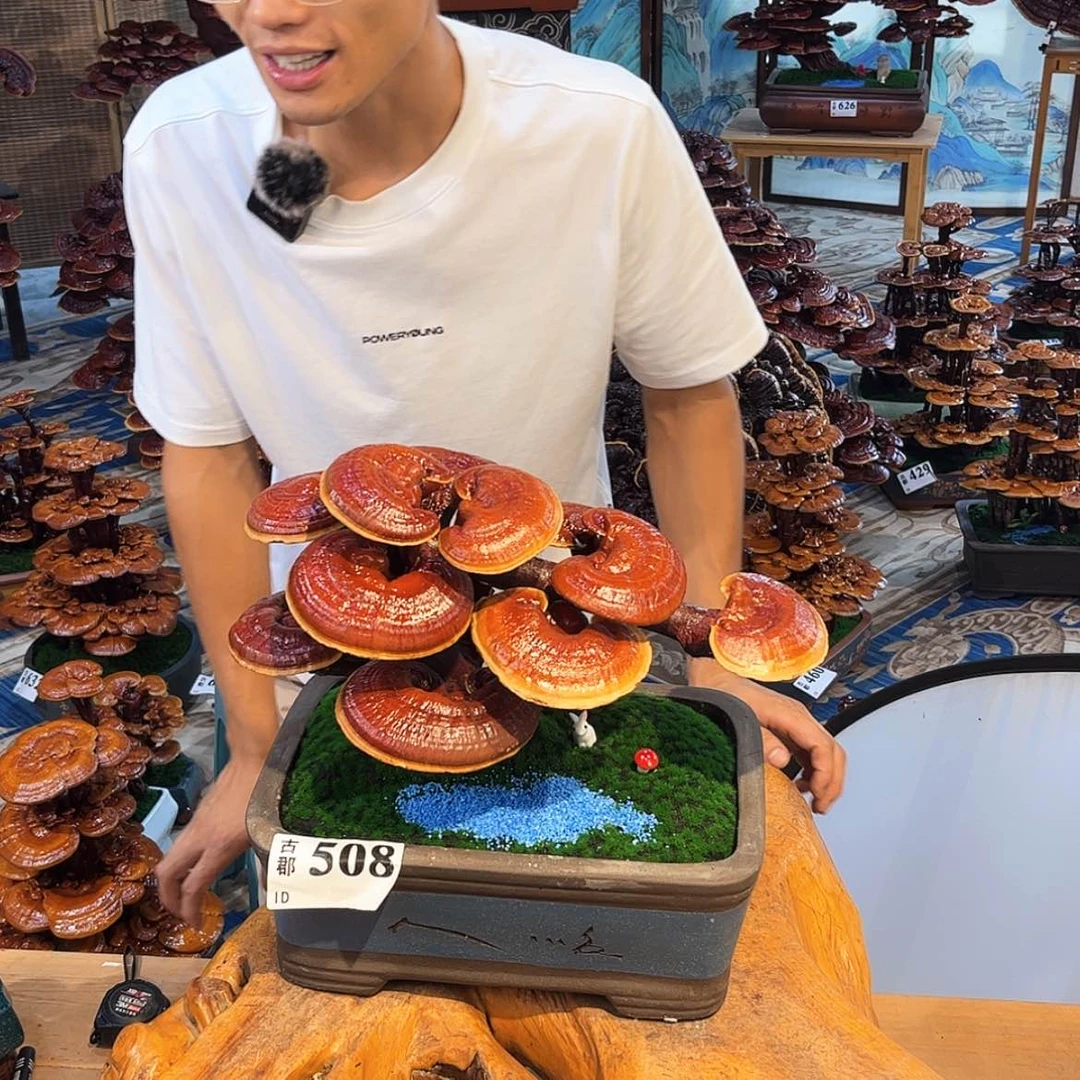 【闪购商品】88888