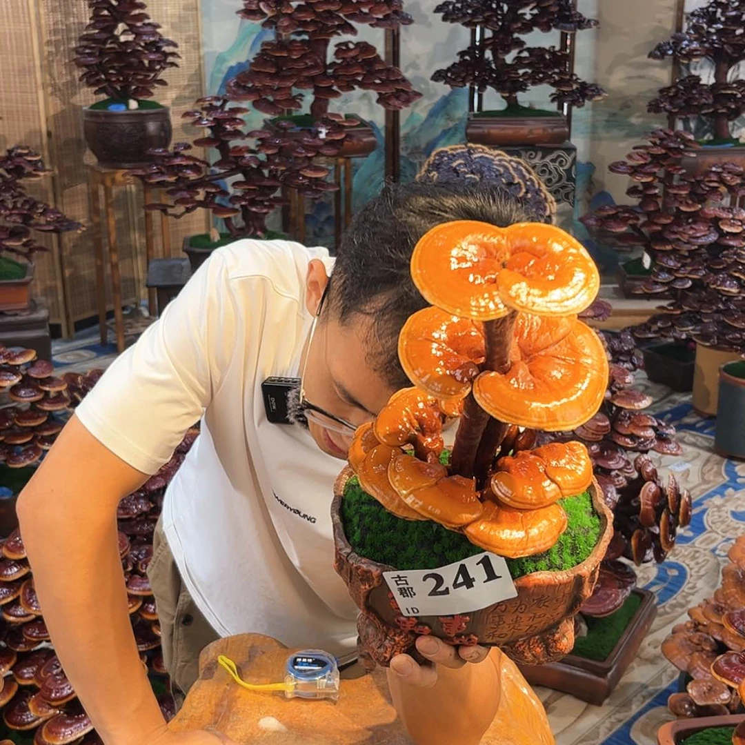 【闪购商品】888888