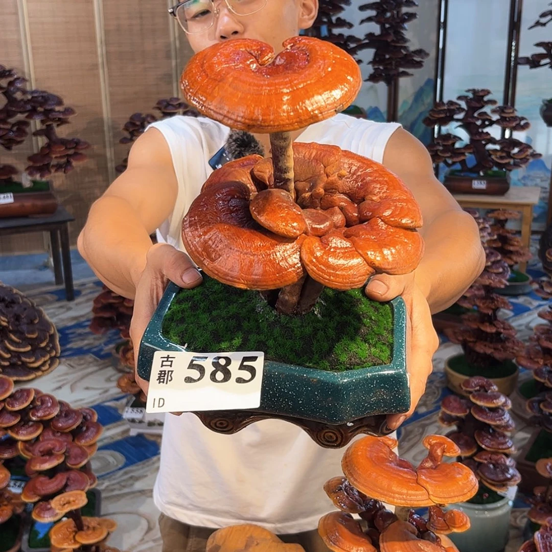 【闪购商品】88888