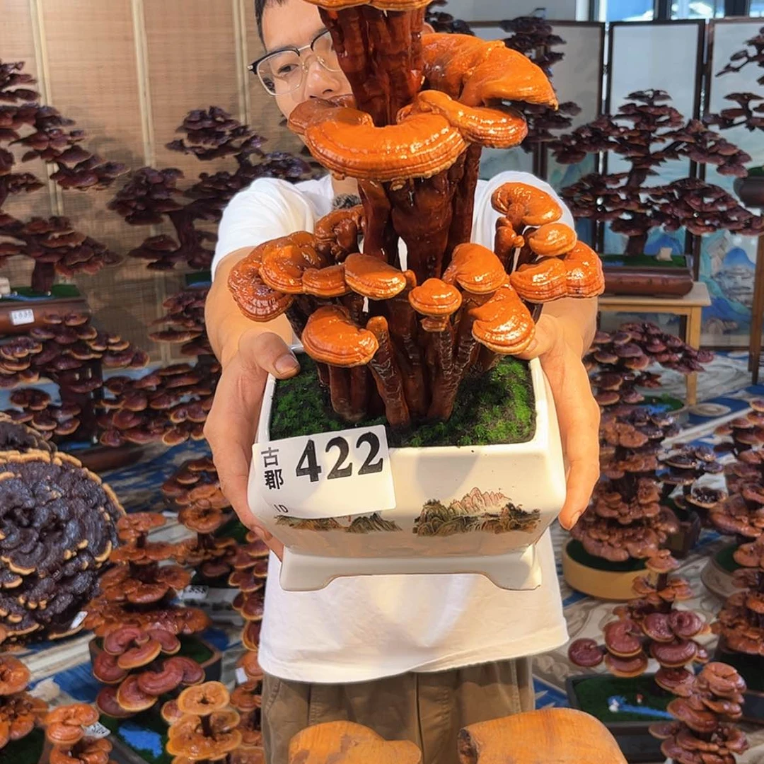 【闪购商品】88888