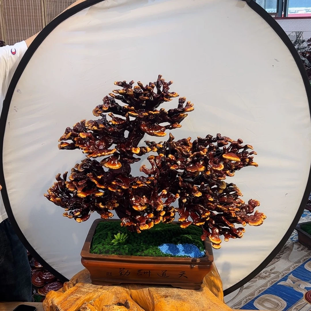 【闪购商品】88888