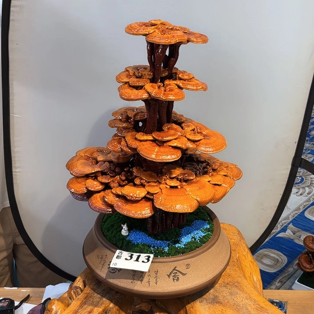 【闪购商品】88888