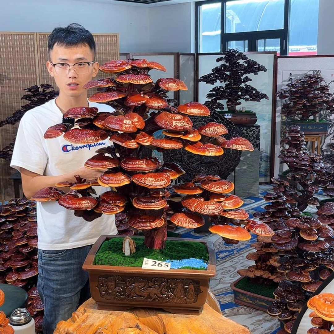 【闪购商品】@*江888888