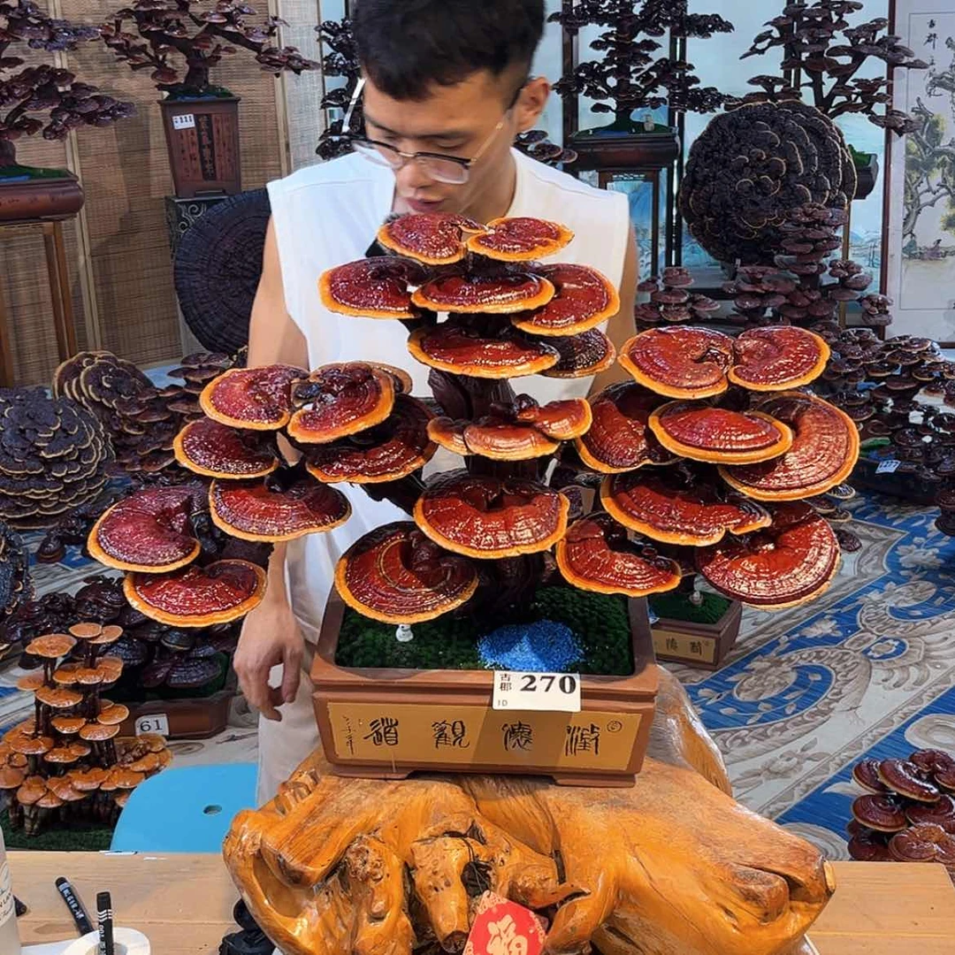 【闪购商品】898888