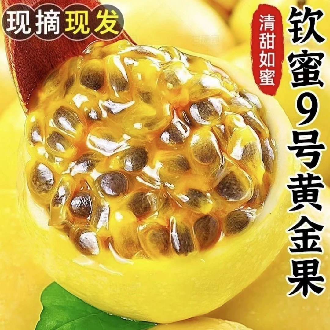 福建武平百香果钦蜜9号黄金百香果水果