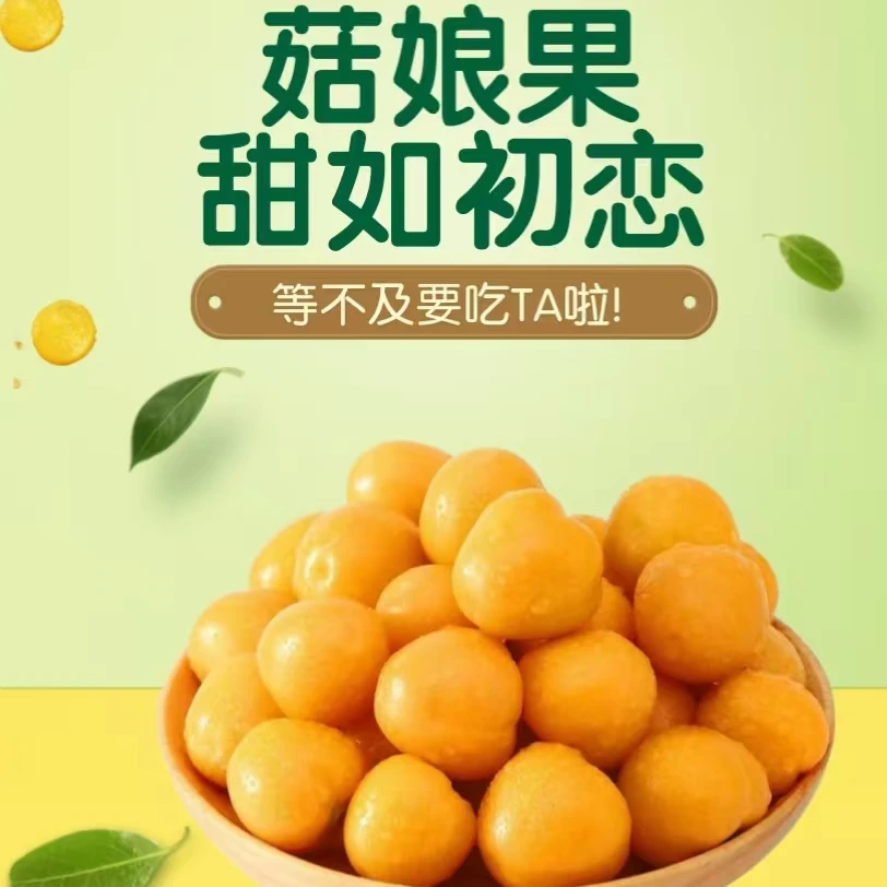 正宗东北中果灯笼果甜菇娘之乡原产地直供基地新鲜采摘中通包邮