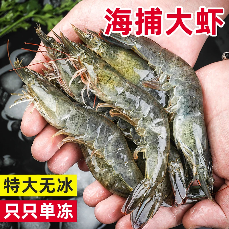 3斤/盒盐田大虾速冻海捕超大基围虾盐冻海虾冷冻虾