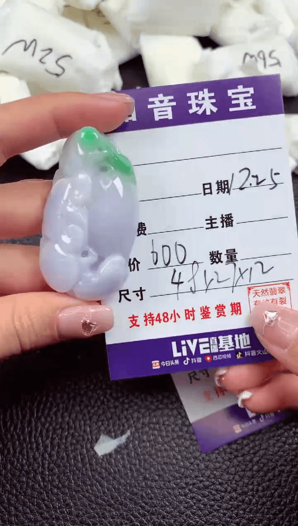 【闪购商品】翡翠颈饰未镶嵌1