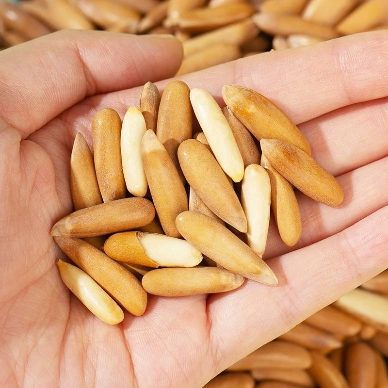 手剥巴西松子薄壳大颗粒坚果袋装休闲零食营养饱满即食产品精选