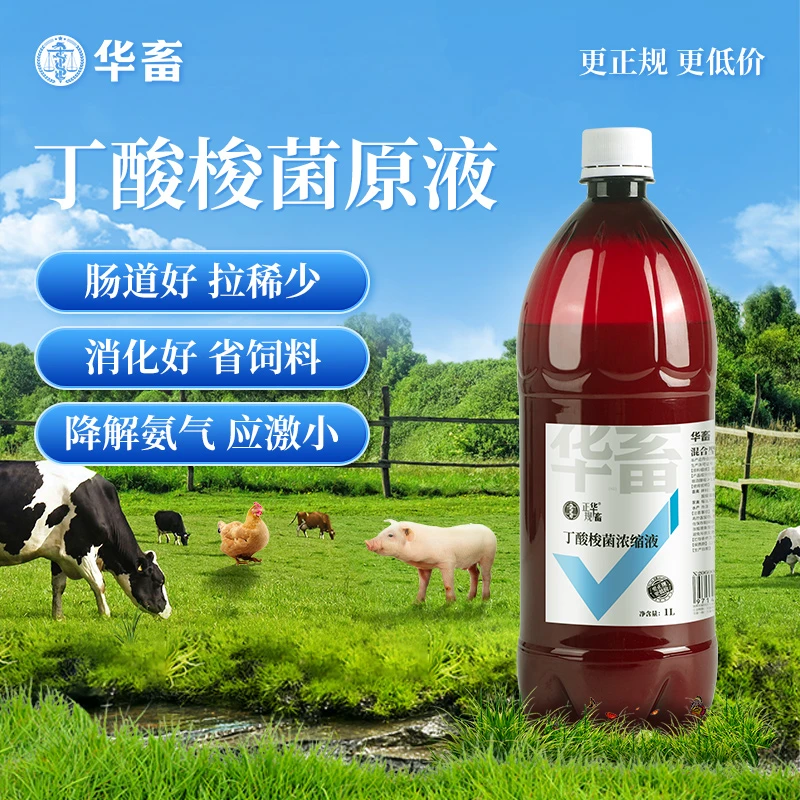 Sem菌复合水产养殖专用肥水丁酸梭菌调肠道添加剂枯草芽孢杆菌