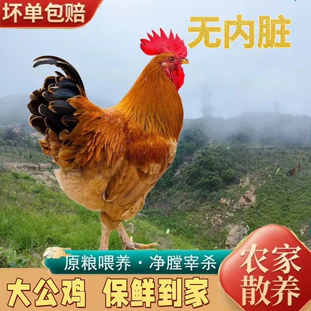 正宗土公鸡黑爪大公鸡2只5.2斤以上农家散养红新鲜走地鸡笨鸡公鸡