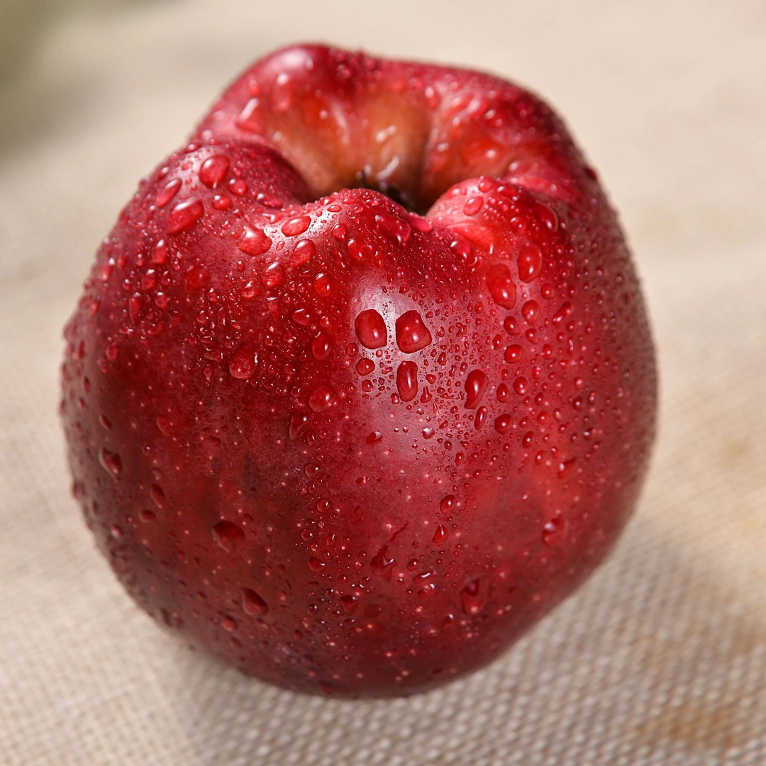 苹果到手五斤   甜心苹果