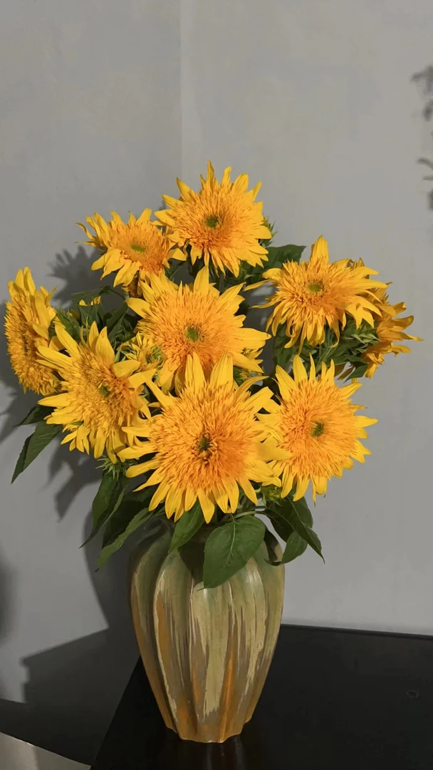 【壹束干花】手工墩墩~装花花的各种墩墩