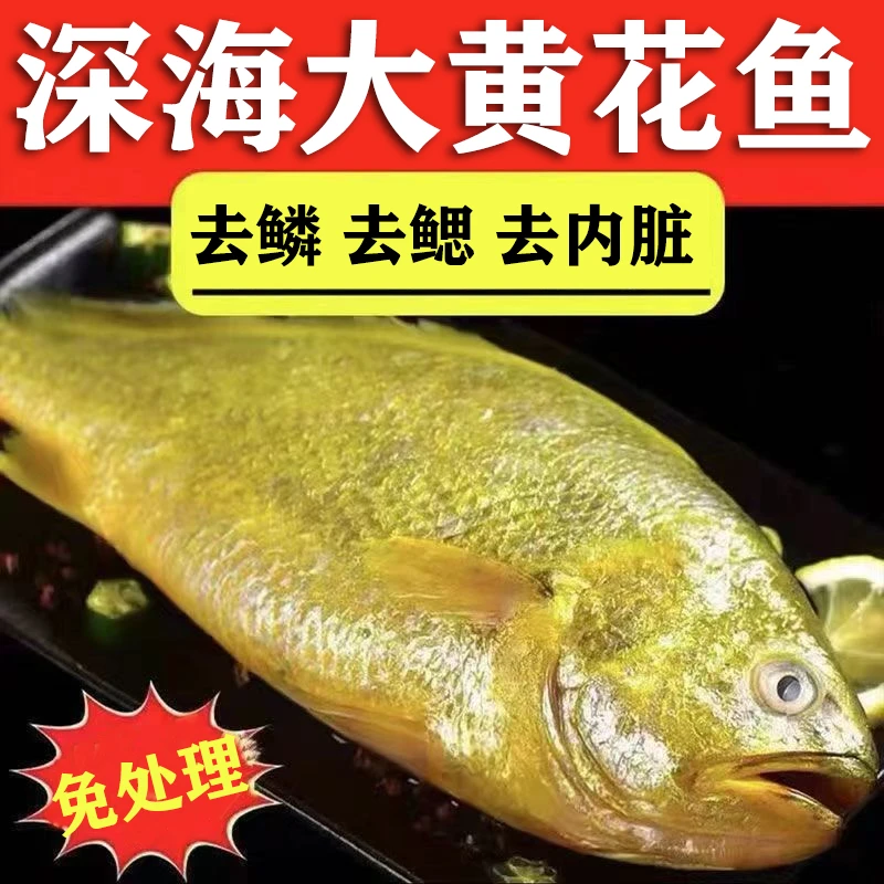 大黄花鱼 三去净膛0.9-1斤装大号深海大黄鱼鲜冻黄花鱼海捕新鲜