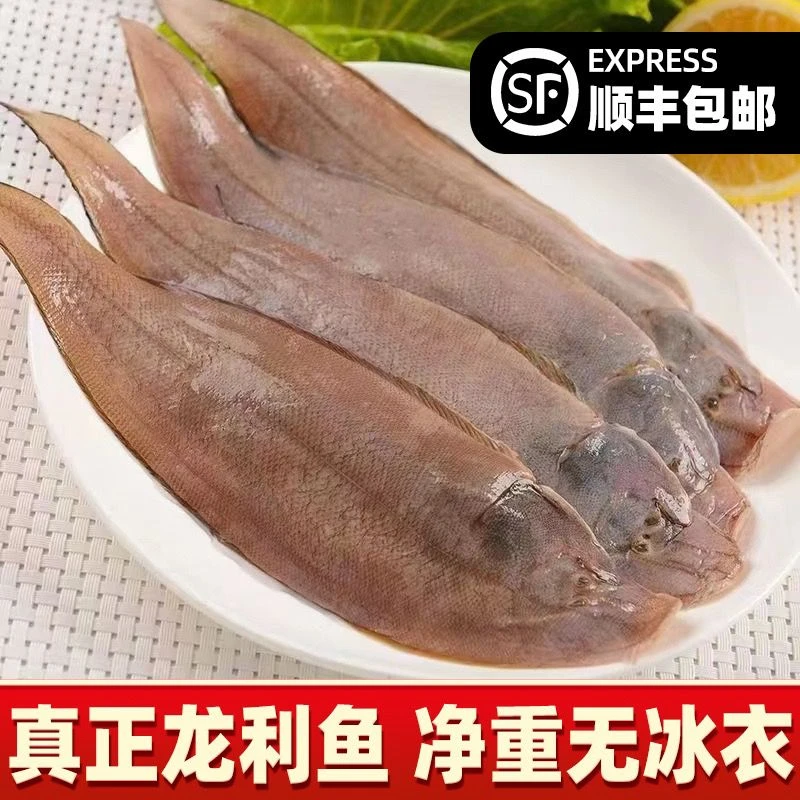 青岛野生龙利鱼到手3/4斤装   海捕 小刺