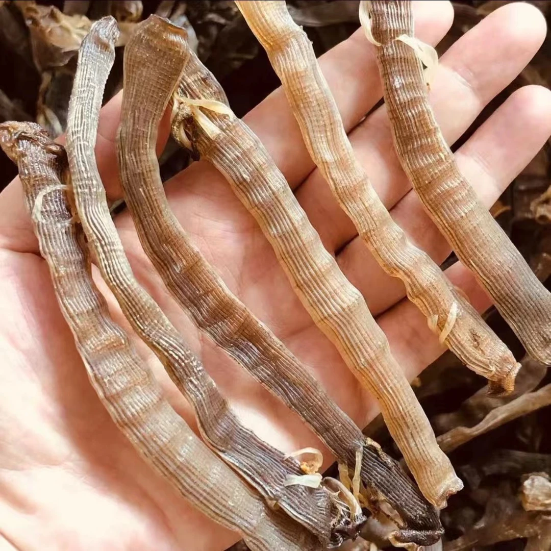 280-300头湛江本地特产灰沙虫干新鲜晒干海鲜干货可煲汤熬粥