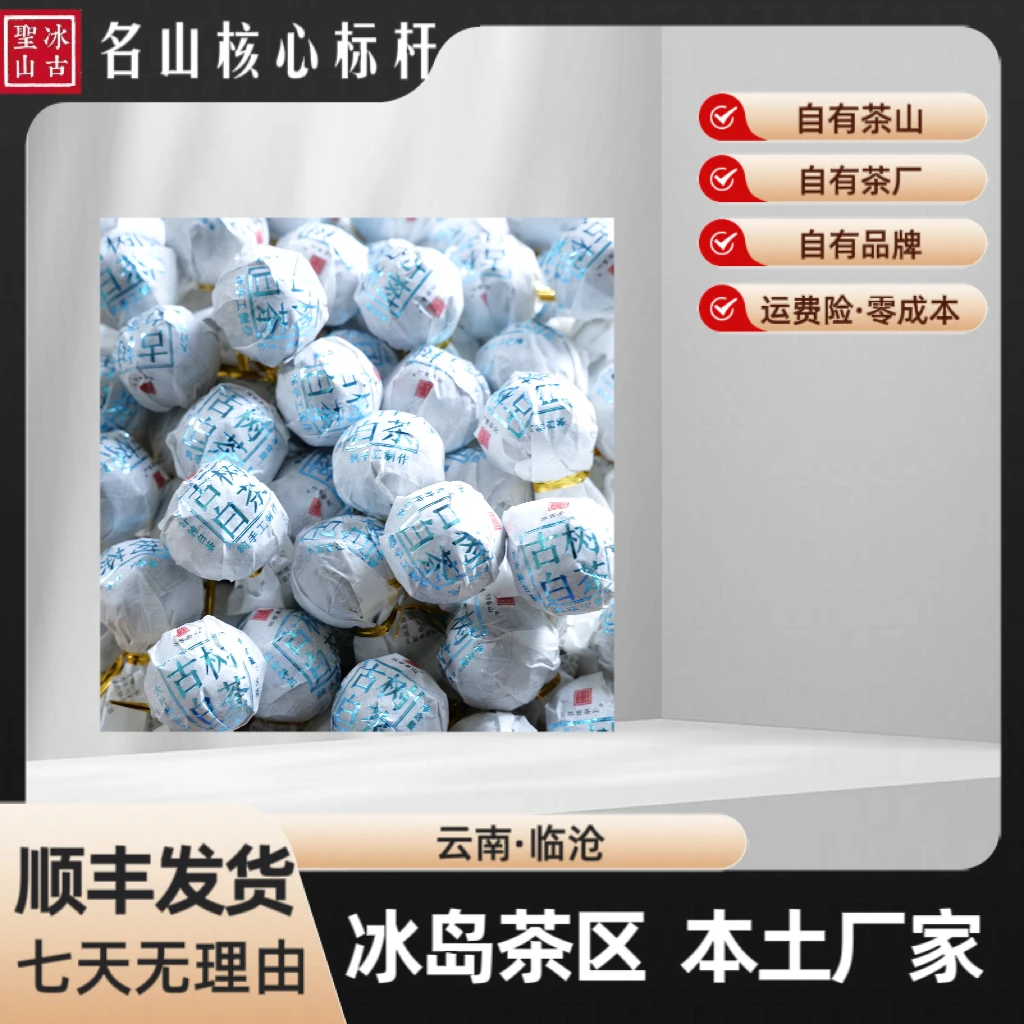 【冰古圣山】冰岛糯伍白茶龙珠  2025年（春）  寿眉【20颗】