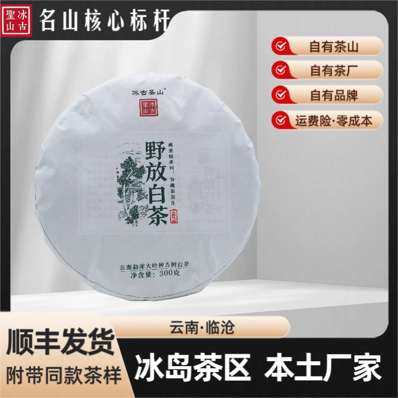 【冰古圣山】 野放白茶 2023年 300克/饼 (春)耐泡耐煮 手工寿眉