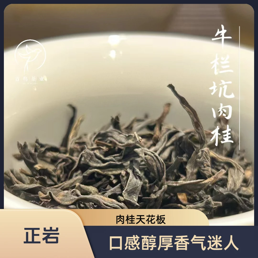 牛栏坑肉桂武夷岩茶