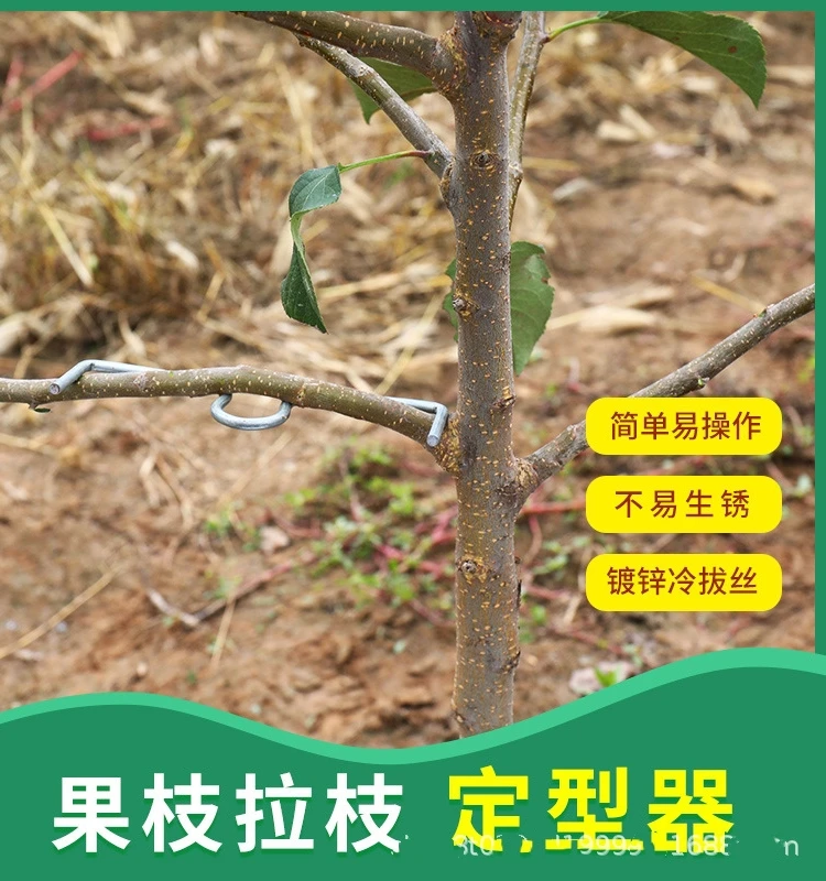 果树拉枝神器m型拉枝器别枝器拉枝器压枝弯枝定型拉树枝神器