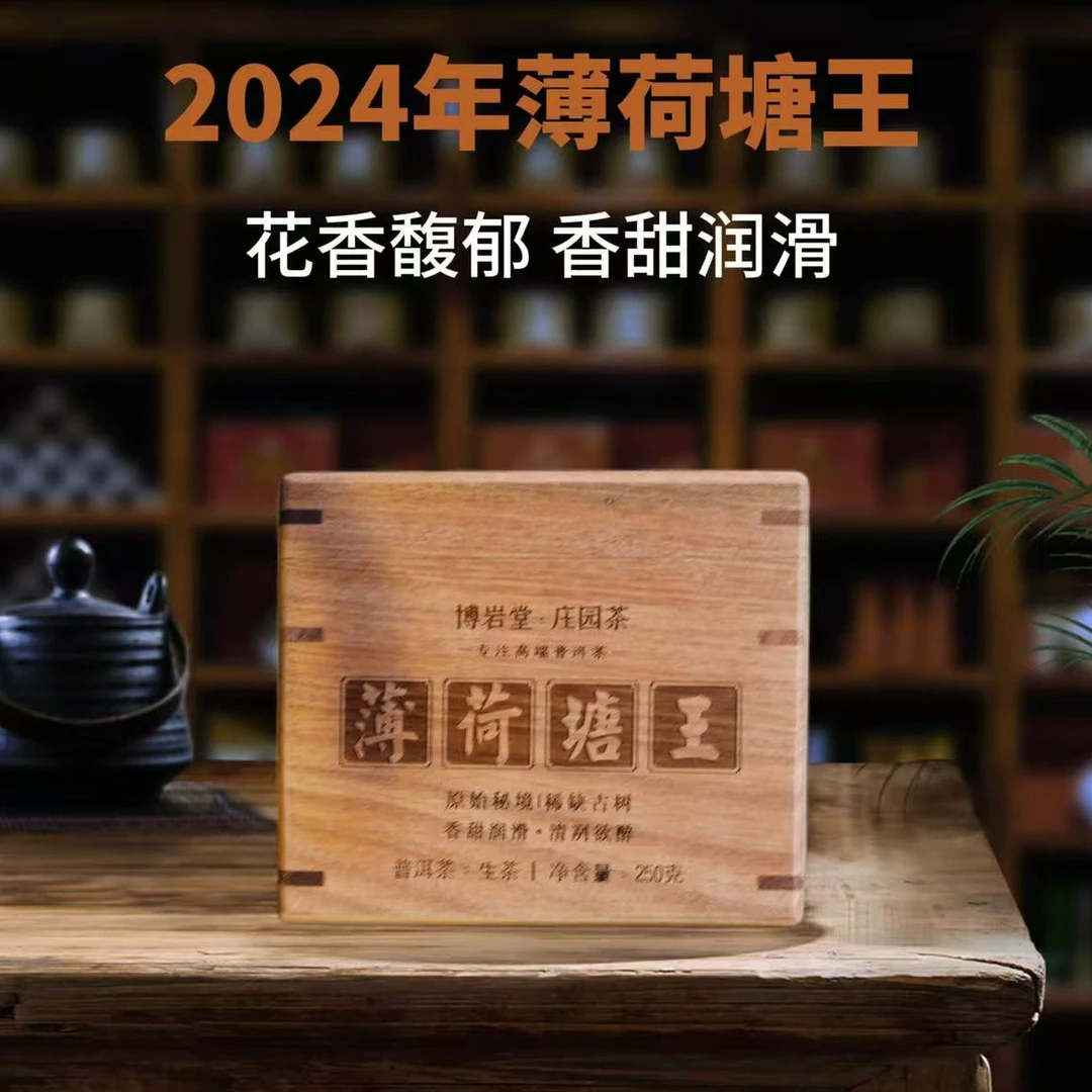 【新品首发】2024年 薄荷塘王 头春古树 散（生茶 ）250克【带茶样】
