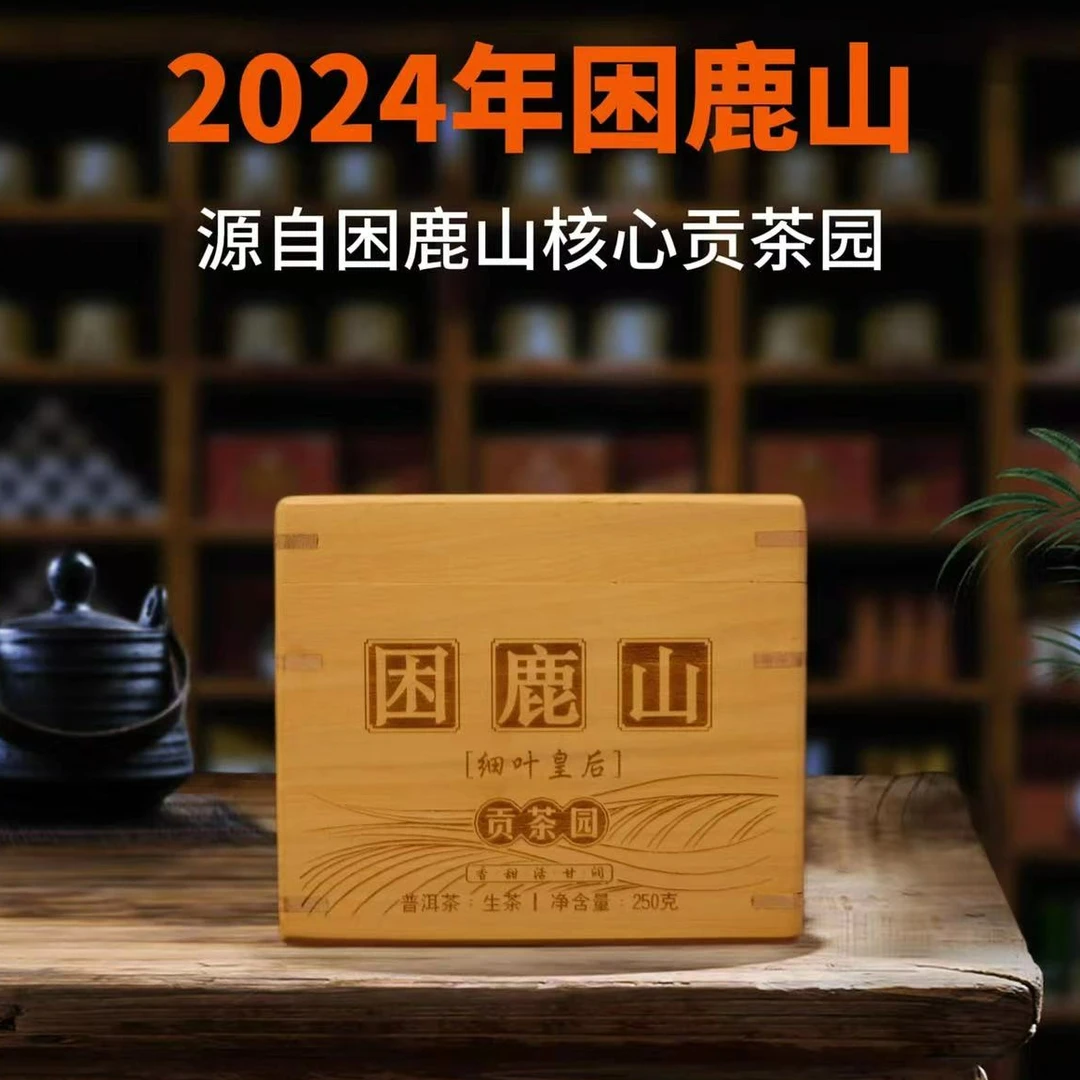 【新品首发】2024年 困鹿山 头春古树 散(生茶 )250克【带茶样】