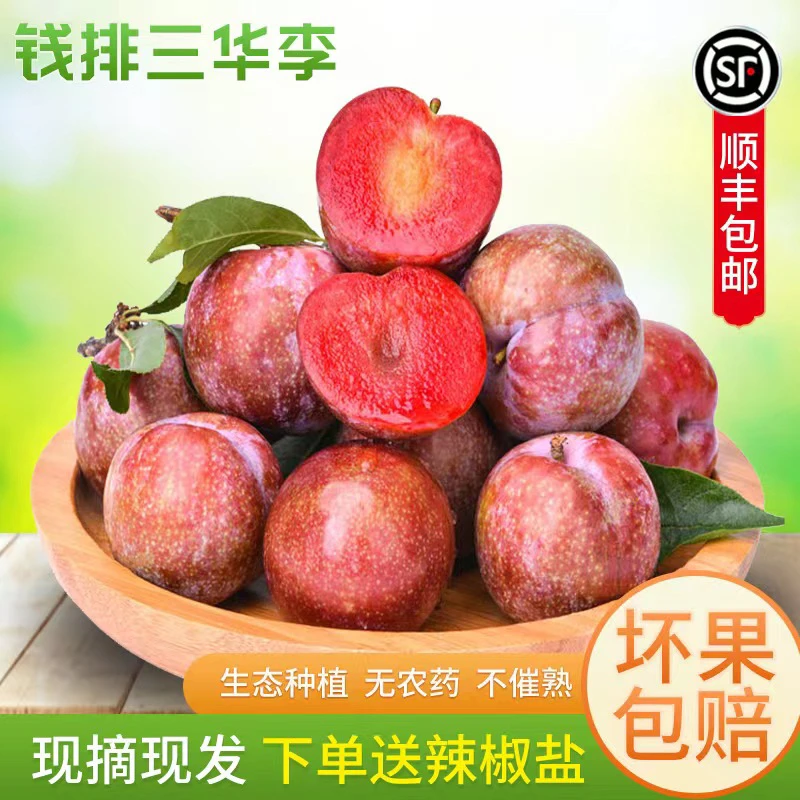 【顺丰速发】广东钱排三华李红心李新鲜脆红李孕妇果酸甜爽口多汁