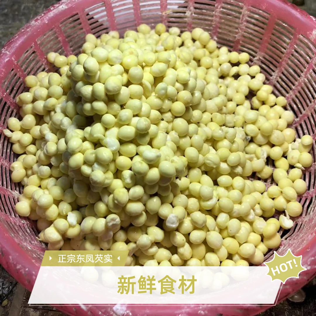顺丰包邮 2025新上市东凤自家种植本地芡实正宗手剥芡实