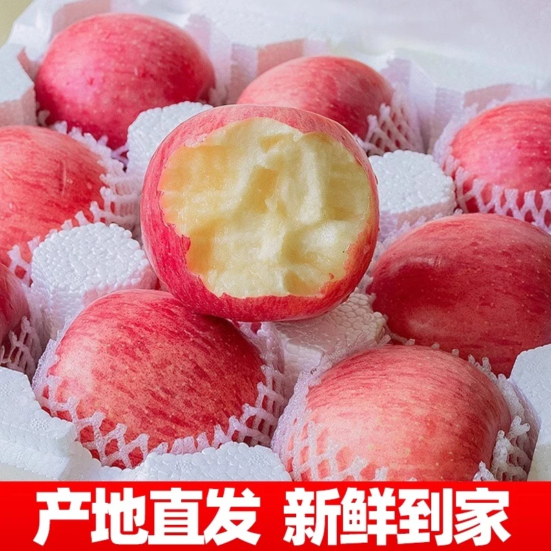 【礼盒装送礼佳品】正宗山东栖霞红富士苹果新鲜当季新鲜酥脆