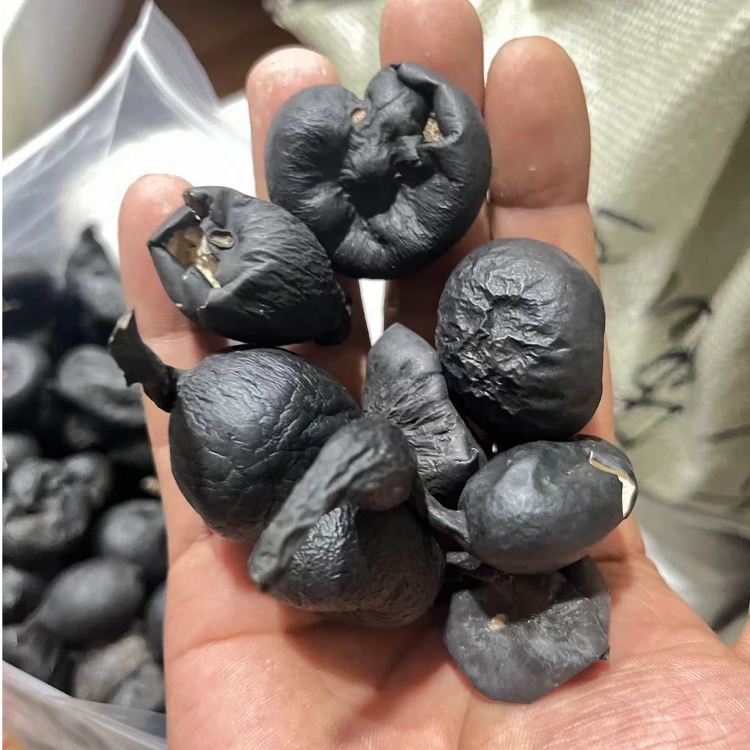 云南土特产乌灵参 自然晒干农产品100g