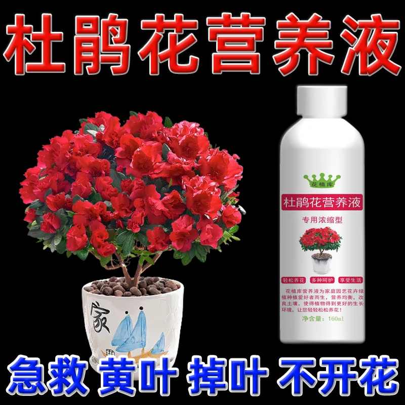 杜鹃花黄叶专用营养液促开花专用肥料喜酸性花卉浓缩营养液催花剂