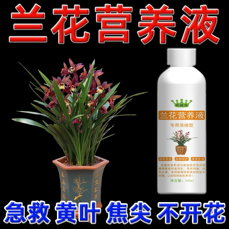 兰花专用营养液黄叶烂根专用促开花肥料专用肥叶尖焦枯黑斑爆根剂