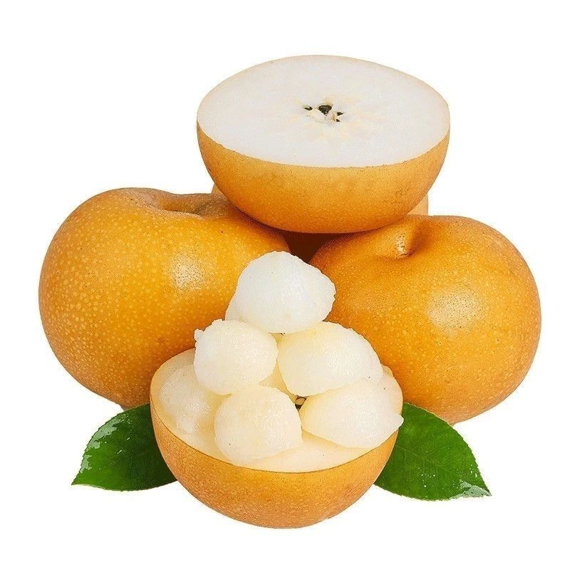 【坏果包赔】正宗山东秋月梨纯甜3斤礼盒装好吃食用净重新鲜