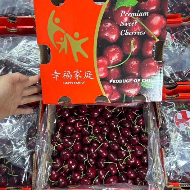【马牌桑提那】智利进口车厘子桑提哪1JD新鲜水果大樱桃当季
