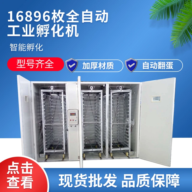 大型孵化机16896枚 全自动鸡鸭鹅孵化机鸟类孵化设备鸡蛋孵化机