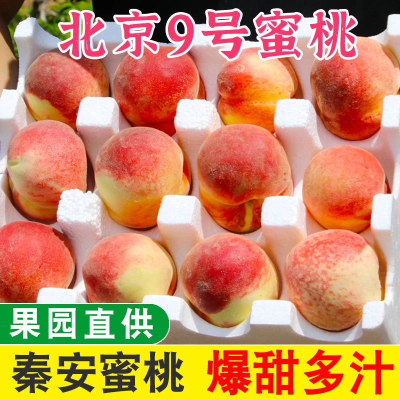 甘肃秦安水蜜桃北京9号香甜新鲜现摘现发应当季孕妇水果9枚/12枚
