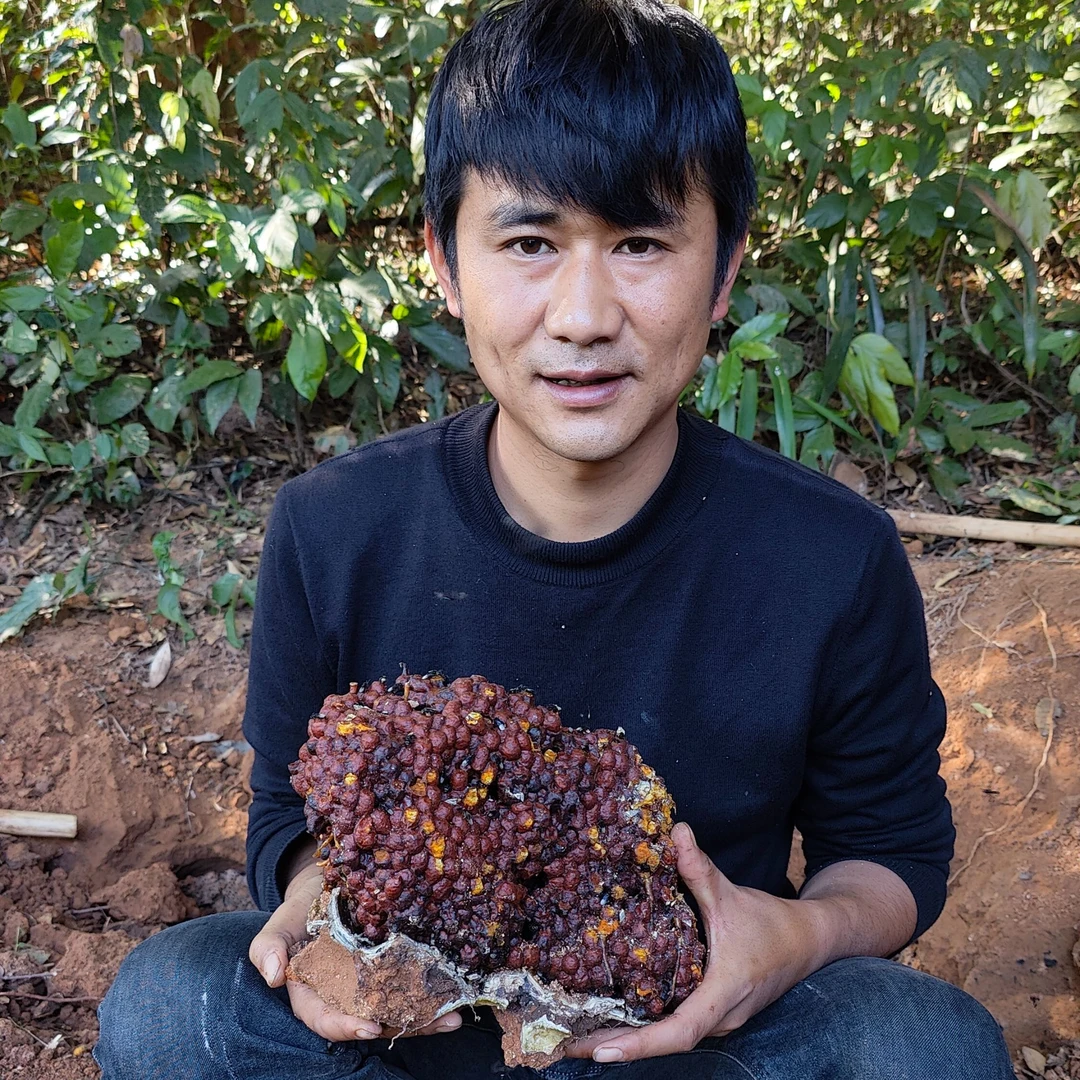 云南野生深山老林 土酸蜂花粉 稀有花粉 新鲜花粉