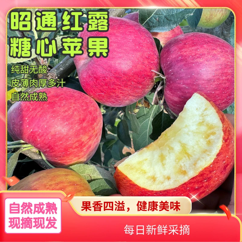云南昭通正宗红露糖心丑苹果山区品种早熟脆甜多汁冰糖心现摘现发