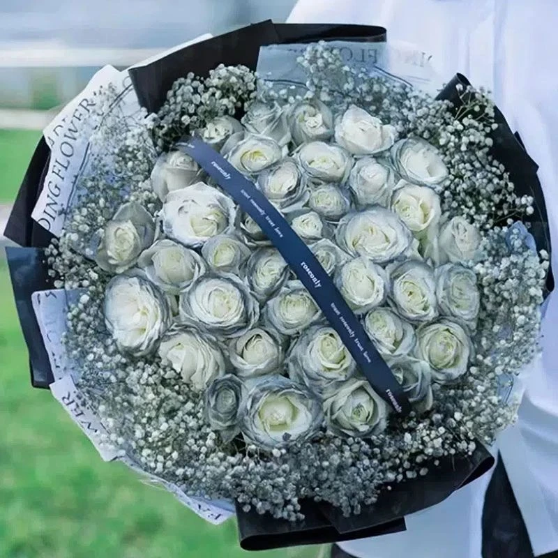 【送男友送老公】33朵黑骑士玫瑰花束全国同城鲜花配送花店生日祝福