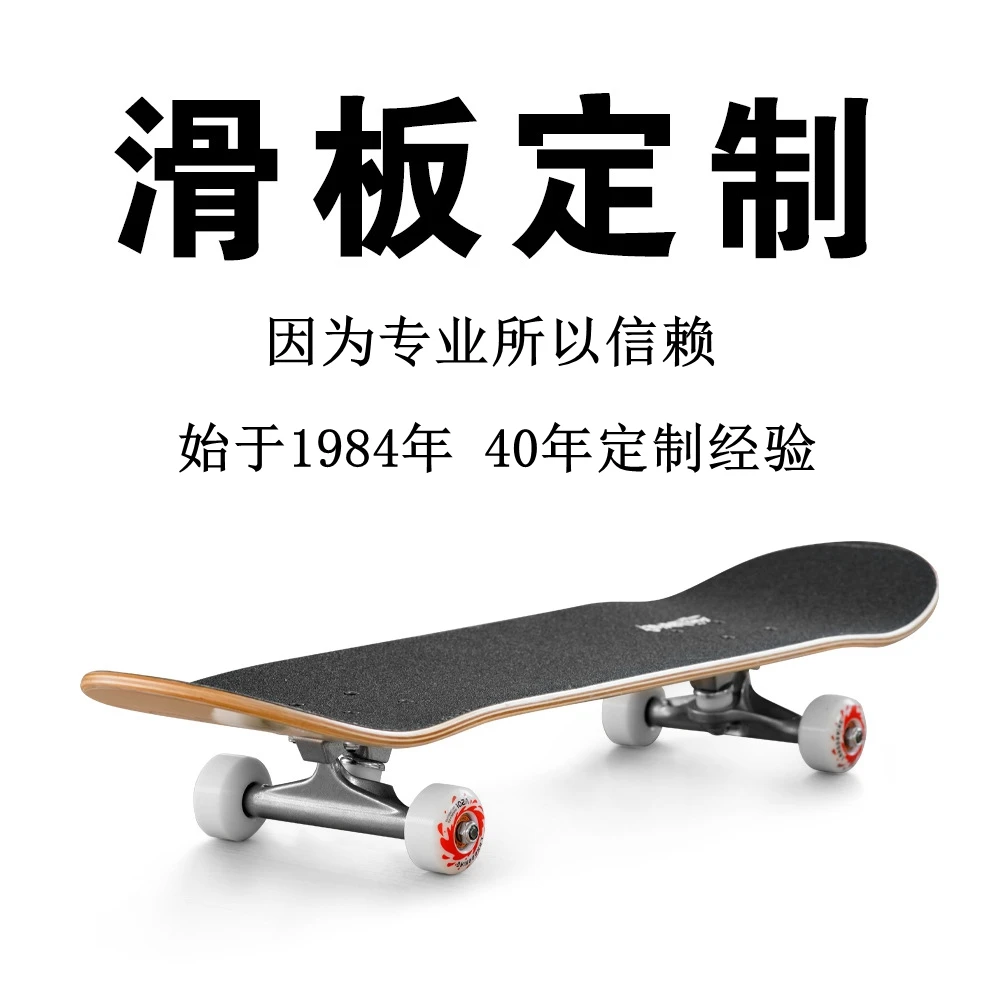 定制超大乌龟滑板宠物滑板玩具鹦鹉滑板模型迷你减压玩具搞笑高级