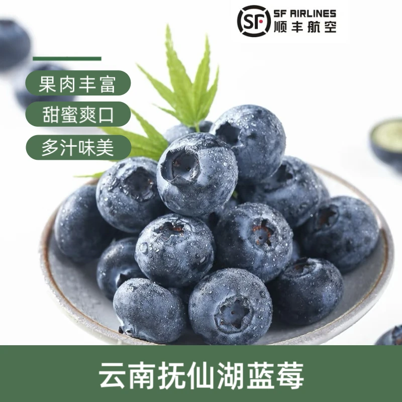 【抚仙湖F6蓝莓大果15-18mm】云南蓝莓现摘现发1斤装