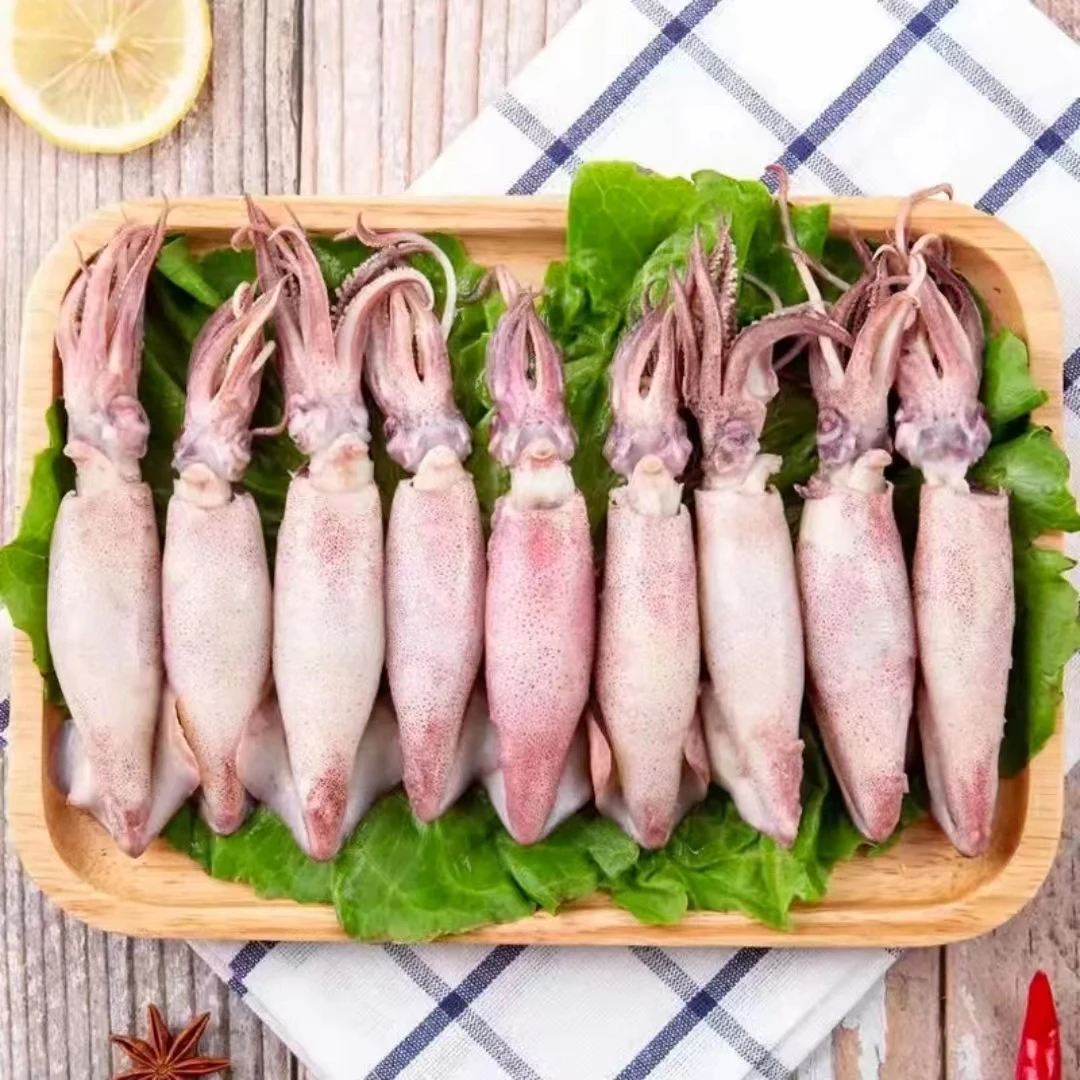 赣榆发货 新鲜籽乌 海兔 250g/盒*6盒