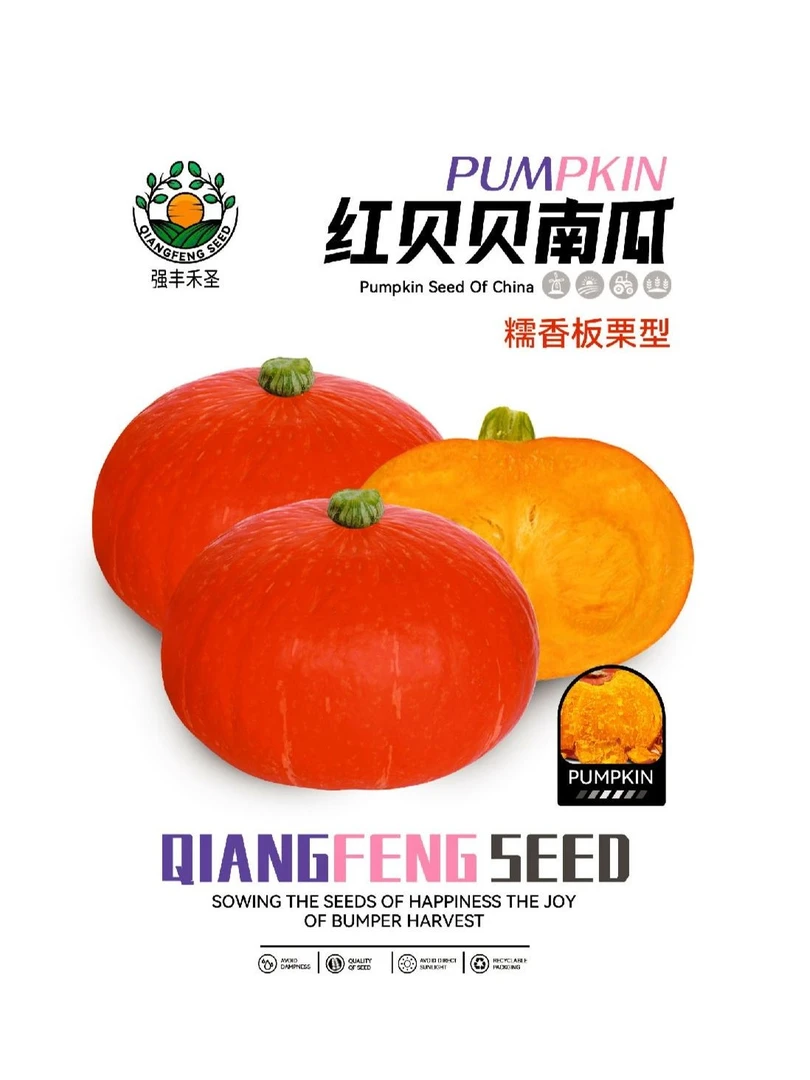 红蜜板栗贝贝南瓜种籽高产红栗南瓜种子春秋季香甜糯四季蔬菜种孑