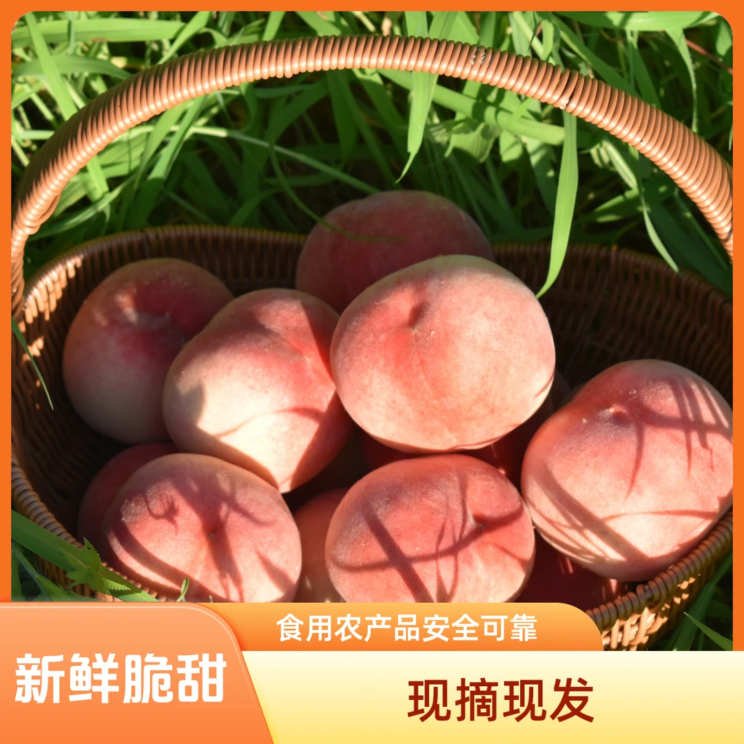 桃子山东蒙阴大果蜜桃脆桃脆甜脆甜纯脆桃现摘现发5斤装