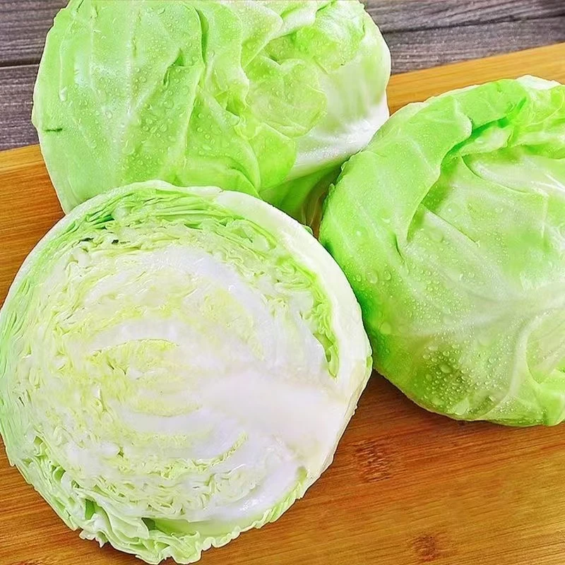 农家绿色自种包菜新鲜蔬菜沙拉卷心菜圆白菜绿甘蓝莲花白